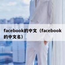 facebook的中文（facebook的中文名）