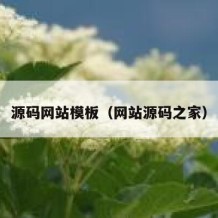 源码网站模板（网站源码之家）