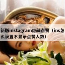 新版instagram隐藏点赞（ins怎么设置不显示点赞人数）