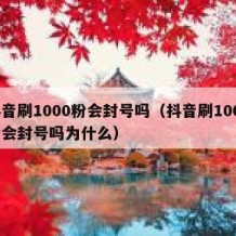 抖音刷1000粉会封号吗（抖音刷1000粉会封号吗为什么）