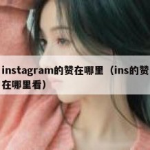 instagram的赞在哪里（ins的赞在哪里看）