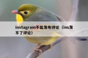 instagram不能发布评论（ins发不了评论）