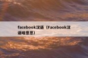 facebook汉语（Facebook汉语啥意思）