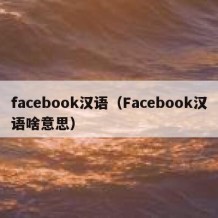 facebook汉语（Facebook汉语啥意思）