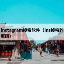 instagram掉粉软件（ins掉粉的原因）