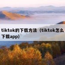 tiktok的下载方法（tiktok怎么下载app）