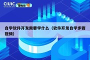 自学软件开发需要学什么（软件开发自学步骤视频）
