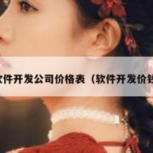软件开发公司价格表（软件开发价钱）