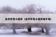 自学开发小程序（自学开发小程序难不难）