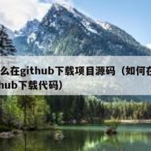 怎么在github下载项目源码（如何在github下载代码）