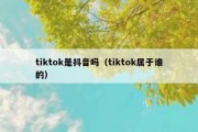 tiktok是抖音吗（tiktok属于谁的）