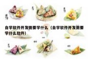 自学软件开发需要学什么（自学软件开发需要学什么软件）