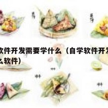 自学软件开发需要学什么（自学软件开发需要学什么软件）