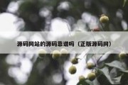 源码网站的源码靠谱吗（正版源码网）