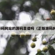 源码网站的源码靠谱吗（正版源码网）