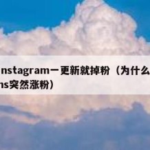 instagram一更新就掉粉（为什么ins突然涨粉）