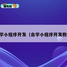 自学小程序开发（自学小程序开发教程）