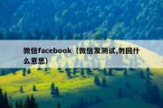 微信facebook（微信发测试,勿回什么意思）