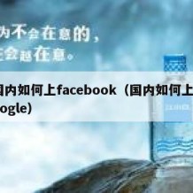 国内如何上facebook（国内如何上google）