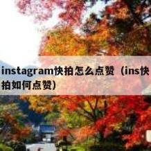 instagram快拍怎么点赞（ins快拍如何点赞）