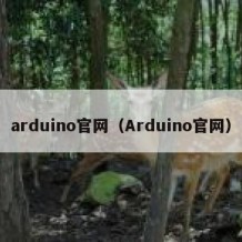 arduino官网（Arduino官网）