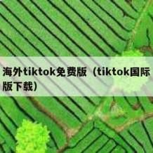 海外tiktok免费版（tiktok国际版下载）