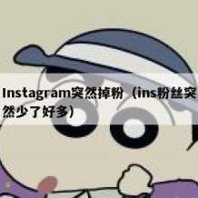 Instagram突然掉粉（ins粉丝突然少了好多）