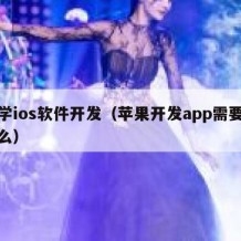 自学ios软件开发（苹果开发app需要学什么）