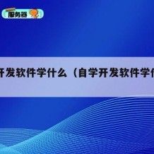 自学开发软件学什么（自学开发软件学什么专业）