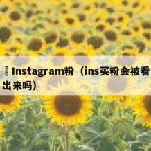 買Instagram粉（ins买粉会被看出来吗）