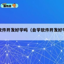 自学软件开发好学吗（自学软件开发好学吗多少钱）