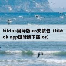 tiktok国际版ios安装包（tiktok app国际版下载ios）