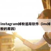 instagram掉粉追踪软件（ins掉粉的原因）