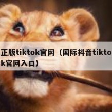 正版tiktok官网（国际抖音tiktok官网入口）