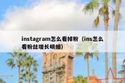 instagram怎么看掉粉（ins怎么看粉丝增长明细）