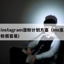 instagram涨粉计划方案（ins涨粉很容易）