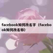 facebook如何改名字（facebook如何改名称）