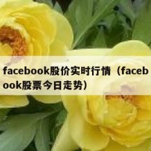 facebook股价实时行情（facebook股票今日走势）