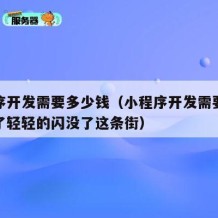 小程序开发需要多少钱（小程序开发需要多少钱点了轻轻的闪没了这条街）