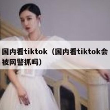 国内看tiktok（国内看tiktok会被网警抓吗）