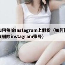 如何移除Instagram上假粉（如何彻底删除instagram账号）