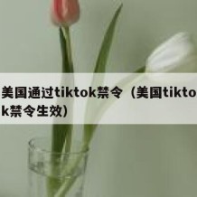 美国通过tiktok禁令（美国tiktok禁令生效）