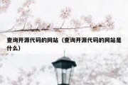 查询开源代码的网站（查询开源代码的网站是什么）