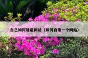 自己如何建造网站（如何自建一个网站）
