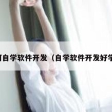 如何自学软件开发（自学软件开发好学吗）