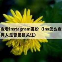 查看instagram互粉（ins怎么查两人是否互相关注）