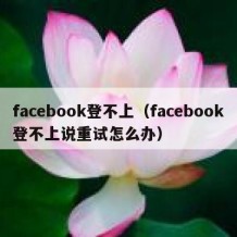 facebook登不上（facebook登不上说重试怎么办）