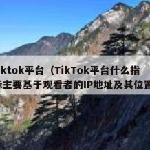 tiktok平台（TikTok平台什么指标主要基于观看者的IP地址及其位置）