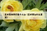 艺术家如何打造个人ip（艺术家ip什么意思）