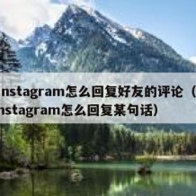 instagram怎么回复好友的评论（instagram怎么回复某句话）